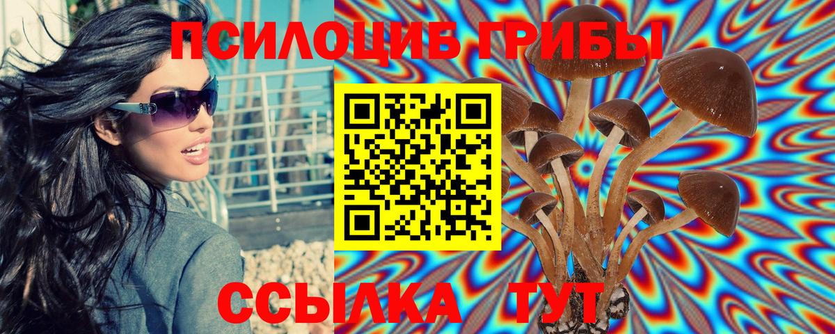 Псилоцибиновые грибы прущие грибы Ивантеевка