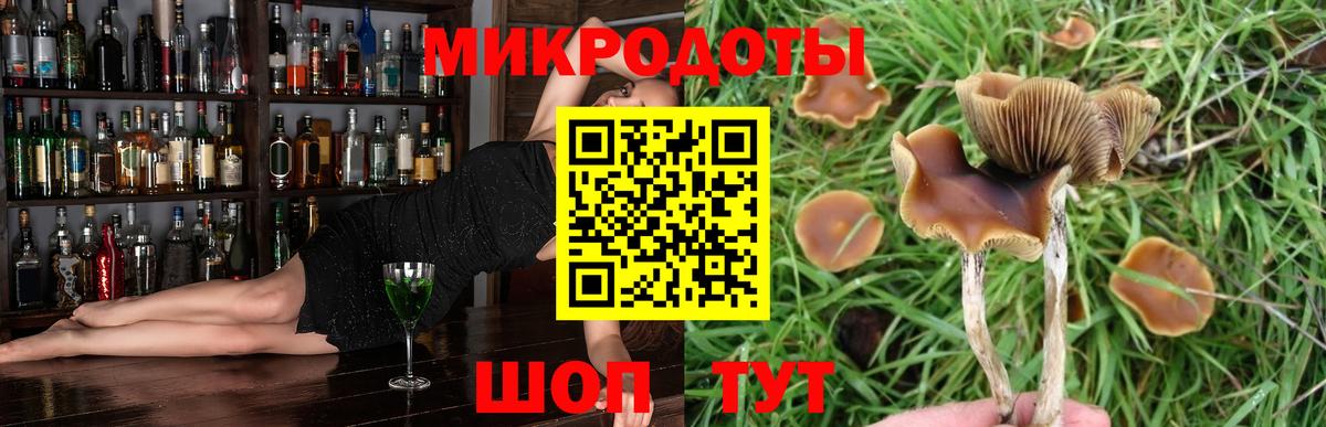 Ивантеевка  Псилоцибиновые грибы мицелий  Псилоцибиновые грибы мухоморы  цены наркотик  Вход с VPN 